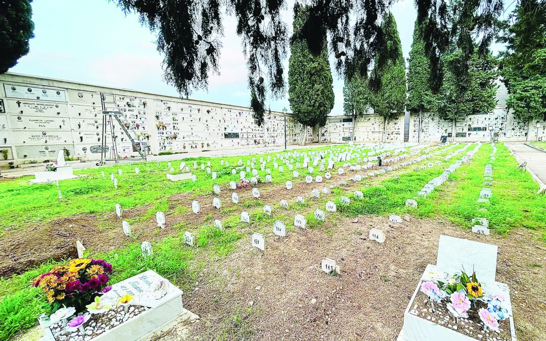L’area del “cimitero dei bimbi mai nati” a Carbonara