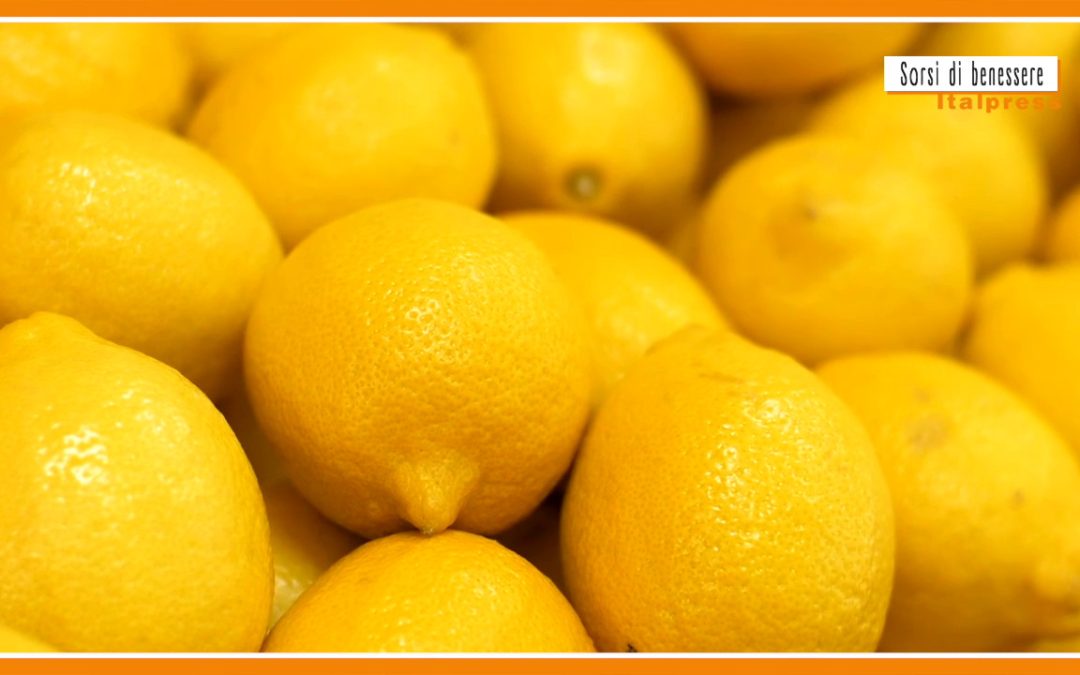 Sorsi di benessere – Una tisana digestiva ideale durante le Festività