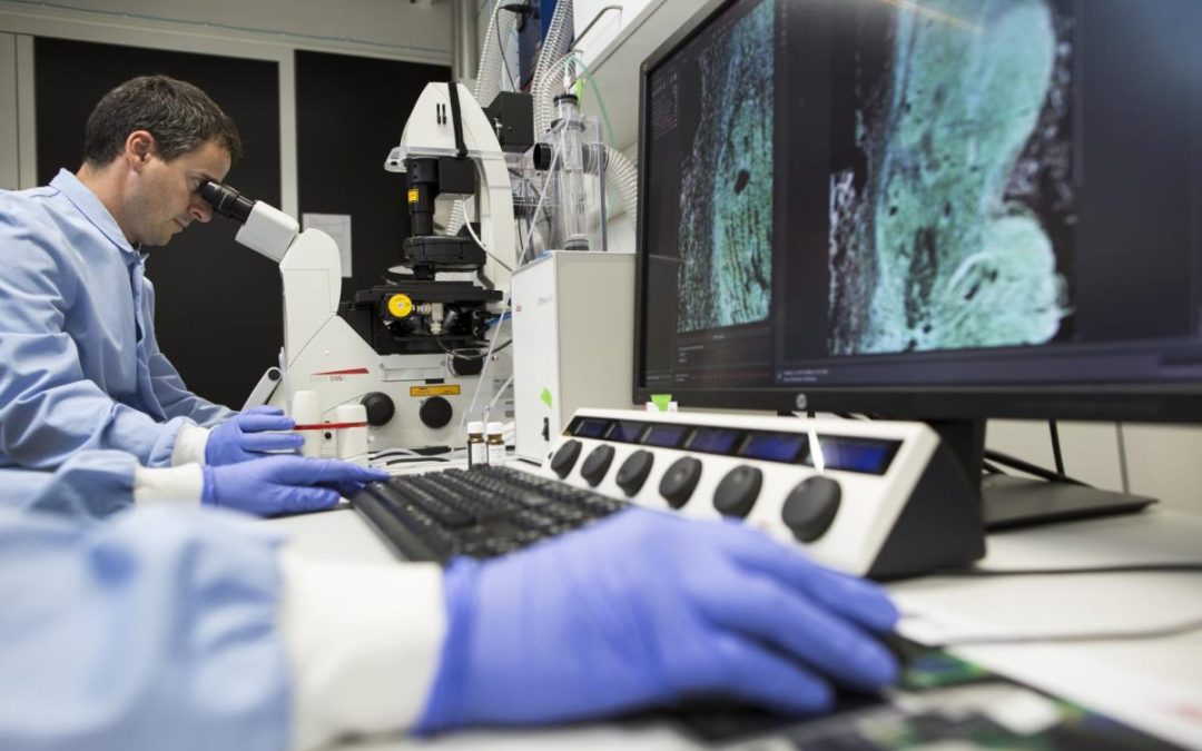 SMA, arriva in Italia il primo farmaco per il trattamento a domicilio