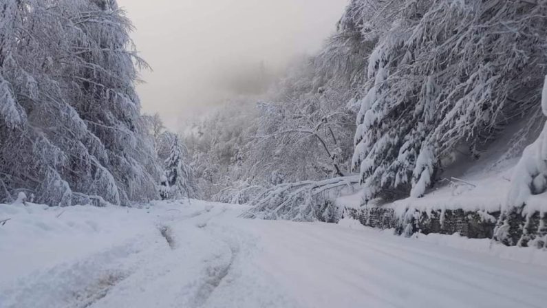 La neve torna in Calabria: un ritorno invernale ad aprile