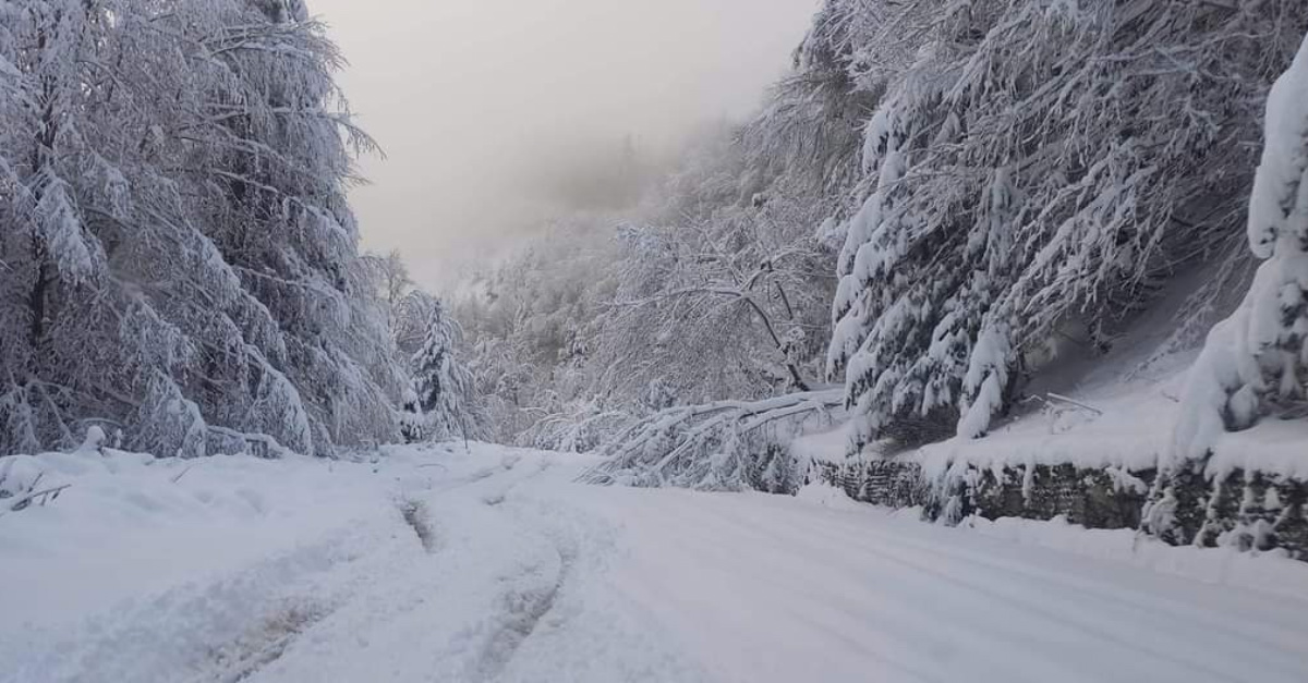 La neve torna in Calabria: un ritorno invernale ad aprile