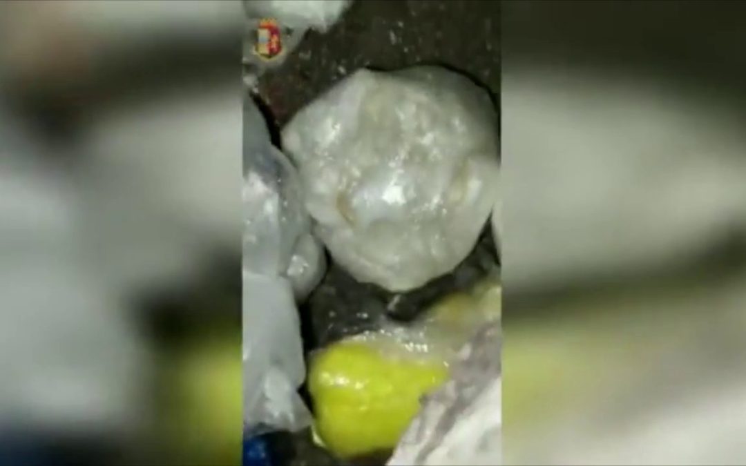 Genova, sequestrati 18 chili di droga