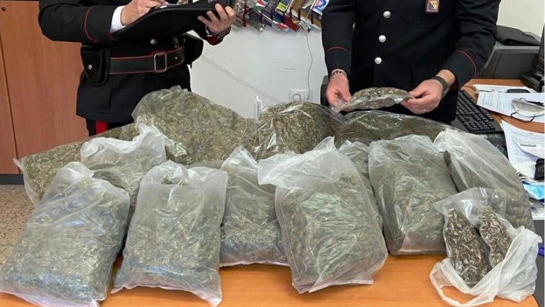 Droga, oltre 6,6 chili di marijuana in casa: arrestato 29enne a Rende