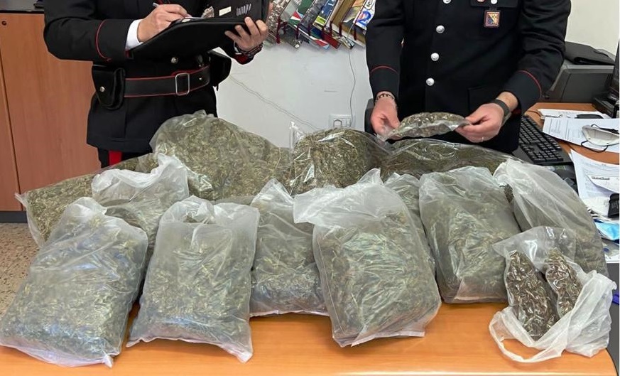 La marijuana sequestrata
