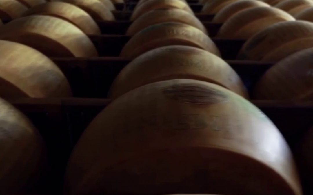 Parmigiano Reggiano, i consumatori premiano anche il 40 Mesi