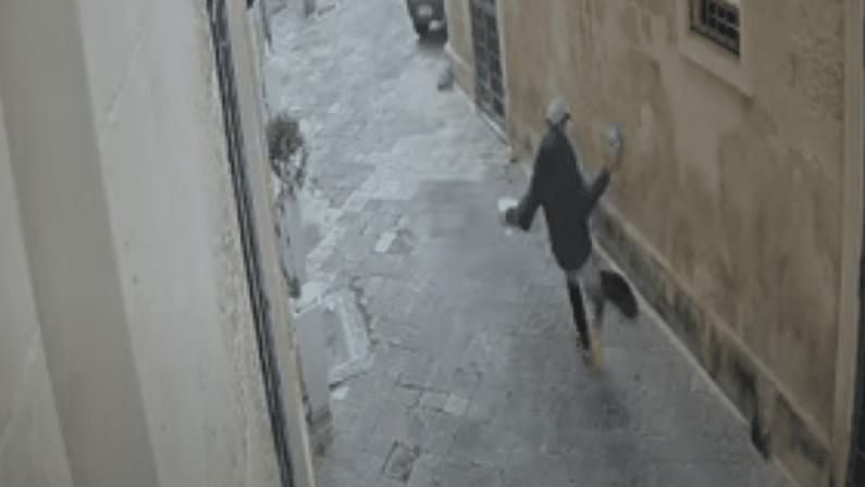 Lecce, uccide a calci un gatto nel centro storico: è caccia all'uomo
