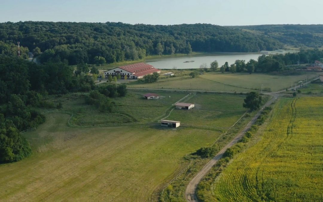 L’agriturismo tiene nonostante la pandemia