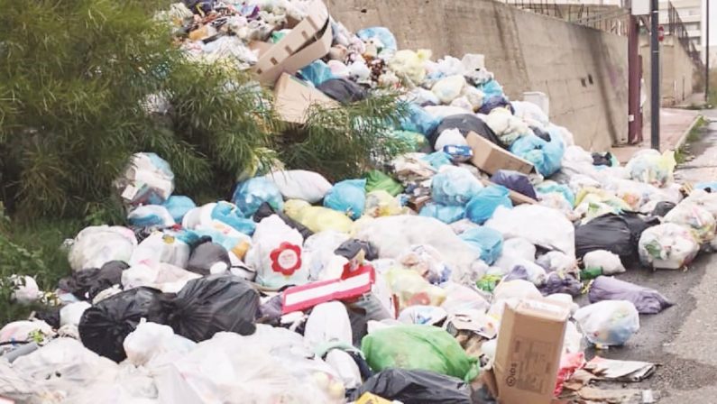 Reggio Calabria, cinghiali tra i rifiuti ad Arghillà: da oggi la polizia può sparare a vista