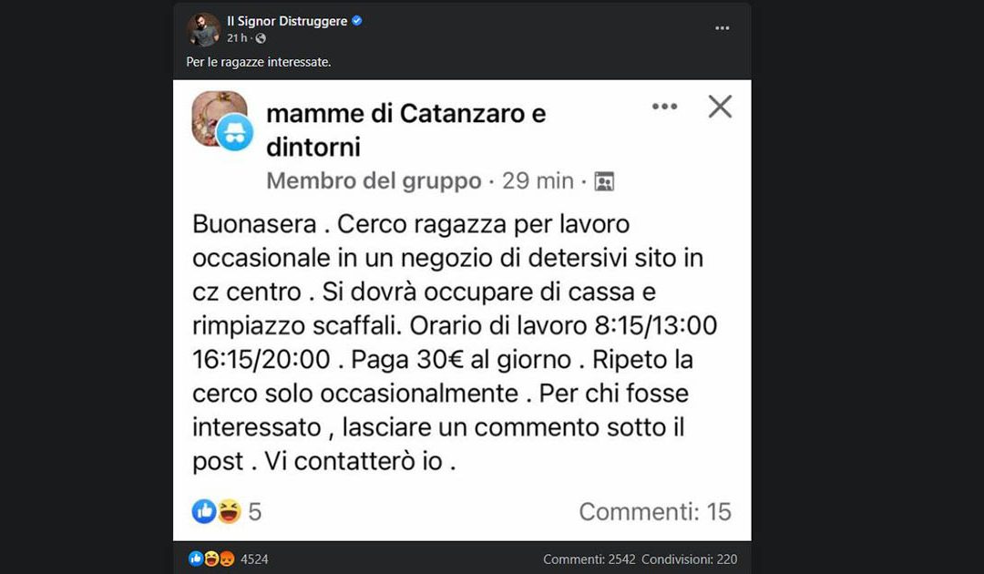 Il post pubblicato da Il signor Distruggere sul lavoro occasionale offerto a Catanzaro