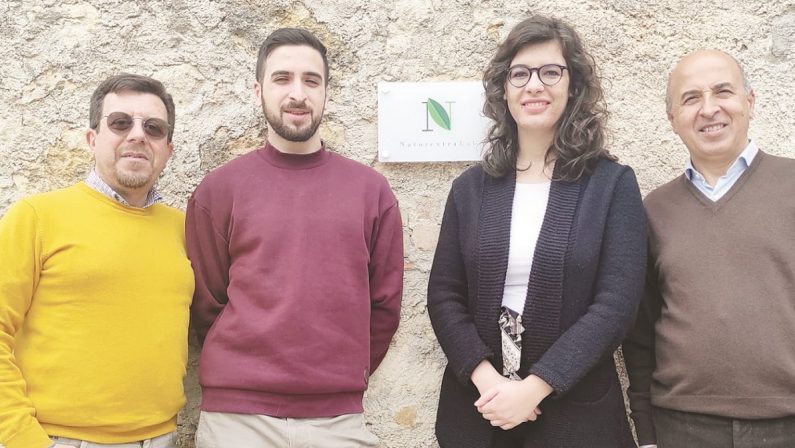 La startup che trasforma le piante officinali in un tesoro della Calabria