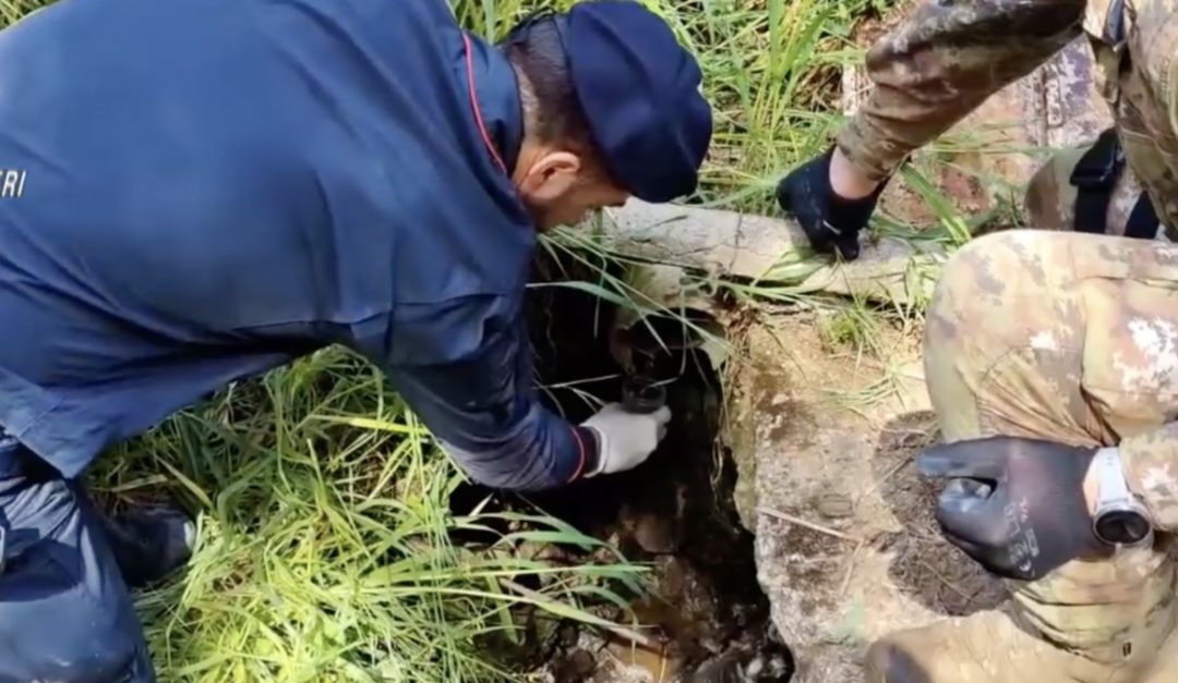 Prelievi dei carabinieri alle fonti