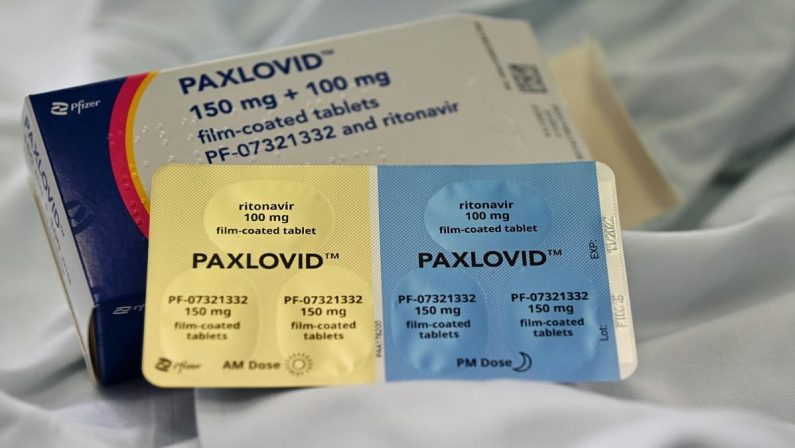 Covid, da oggi i medici potranno prescrivere l'antivirale Paxlovid