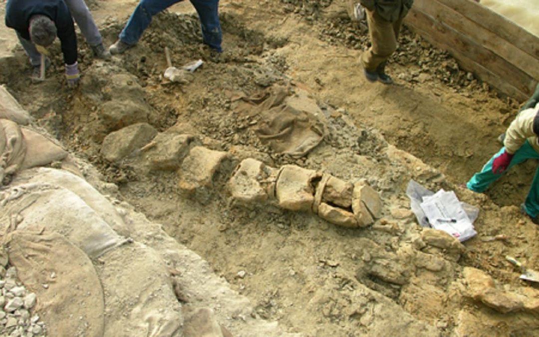 Gli scavi nei pressi del lago di San Giuliano a Matera