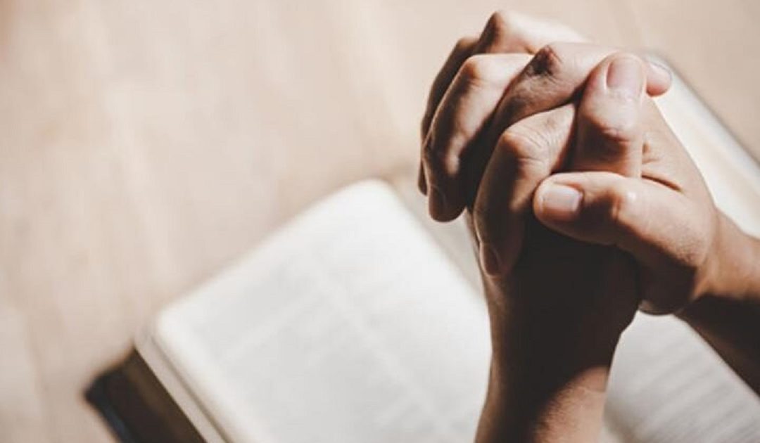 La card di Pietrangelo Buttafuoco Il cuore è la nostra lampada