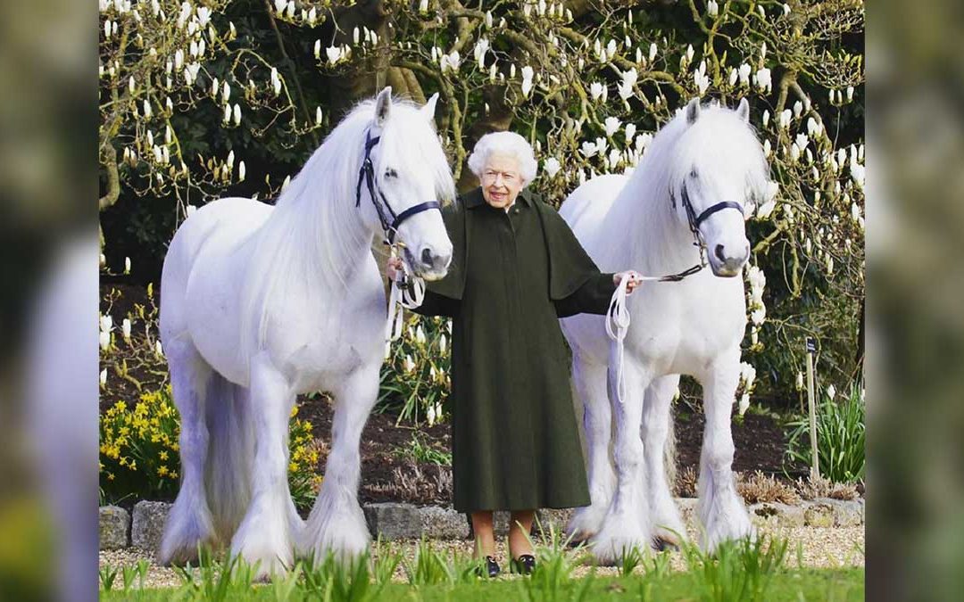 Una foto scattata il mese scorso alla regina Elisabetta con due dei suoi pony nel Castello di Windsor
