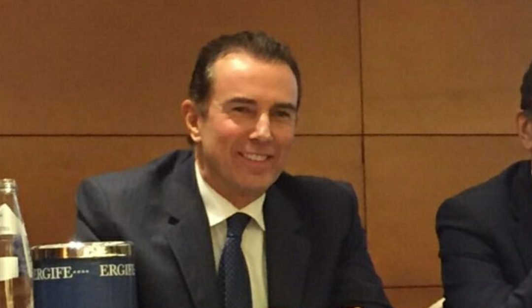 Fabio De Lillo, amministratore unico della Reggina