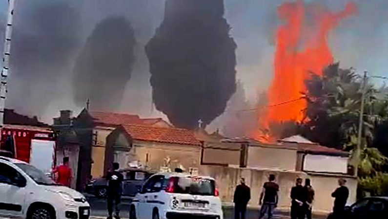 Fiamme vicino al cimitero di Vena Superiore nel Vibonese