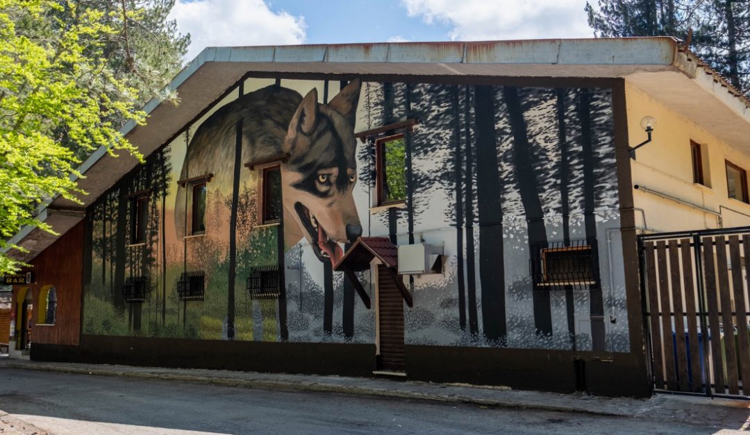 Il murale dedicato al lupo dell’artista spagnolo WedoGoas a Camigliatello