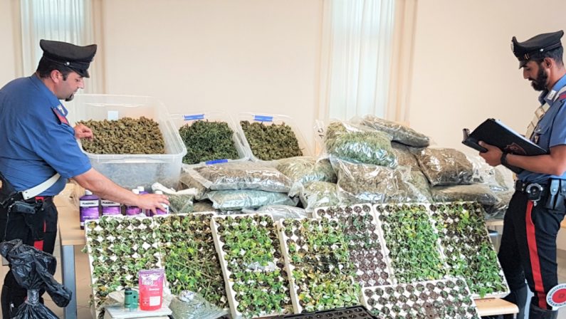 Sessanta chili di marijuana scoperti dai carabinieri di Lamezia Terme