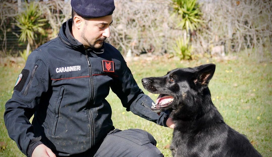 Porta cocaina al figlio detenuto, scoperto da cane antidroga