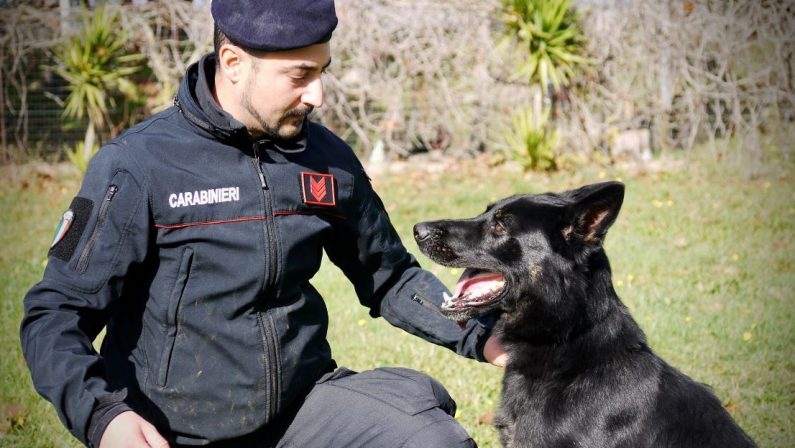 Porta cocaina al figlio detenuto, scoperto da cane antidroga