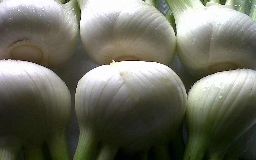 Il finocchio di Isola Capo Rizzuto è un Igp, ma restano le incognite