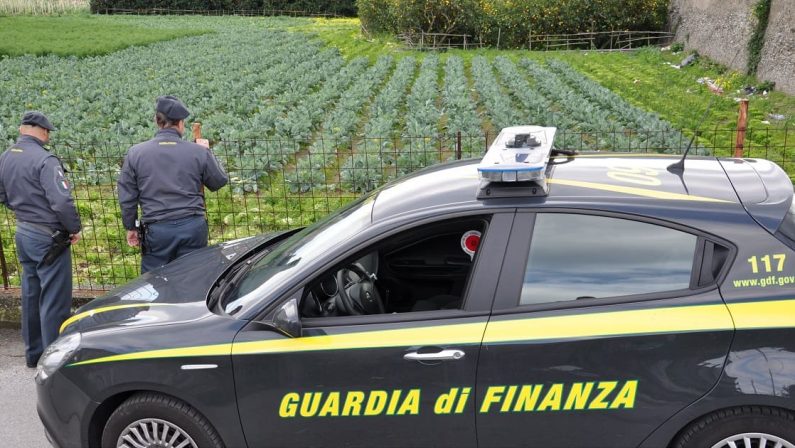 Scoperta nel Leccese una truffa da quasi 400 mila euro, 75 denunciati