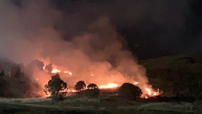 Crotone, incendio doloso nel Parco Pignera. Voce: «Vigliacchi criminali»