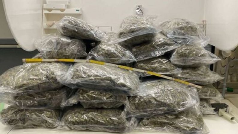 Droga, sbarca a Messina con oltre 32 chili di marijuana nascosti in auto