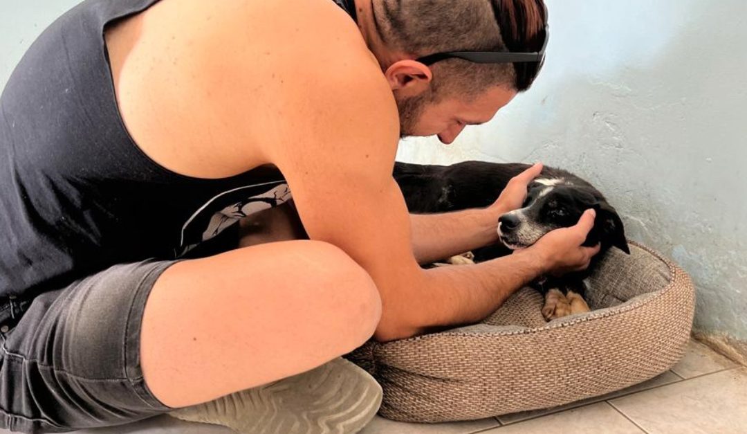 Ritrova il suo cagnolino dopo più di dieci anni, grazie al canile comunale di Vibo