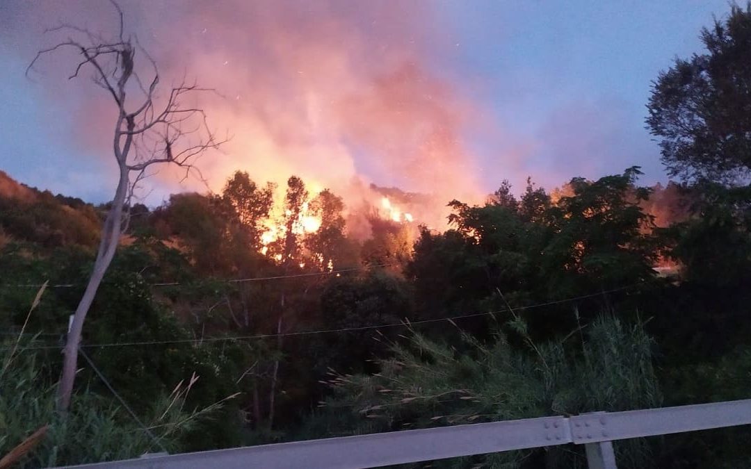 Vasto incendio nel Vibonese, le fiamme minacciano delle abitazioni