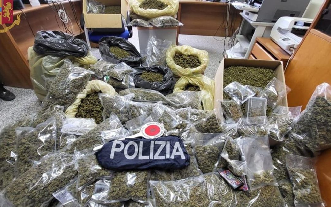 La marijuana sequestrata dalla polizia