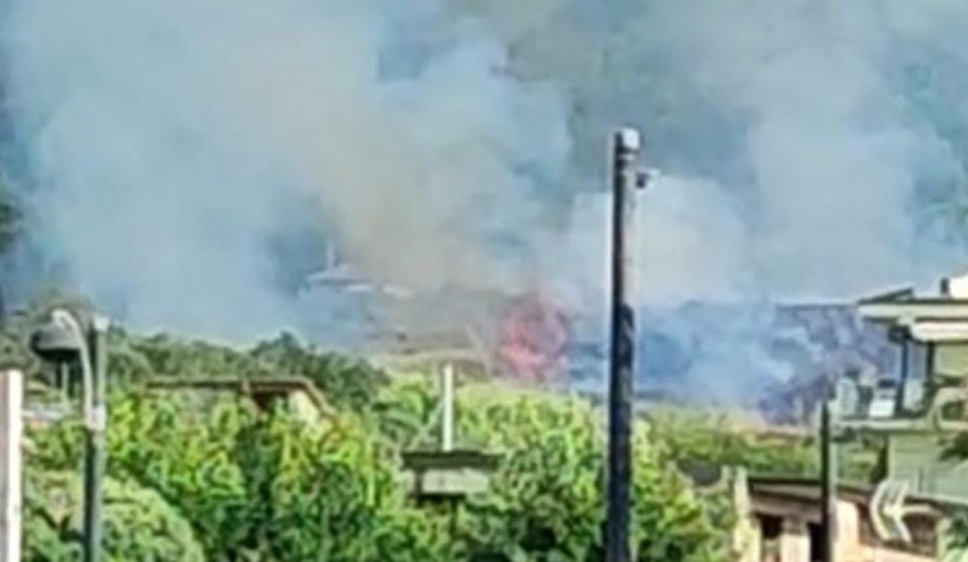 L'incendio di oggi pomeriggio a Vibo Valentia