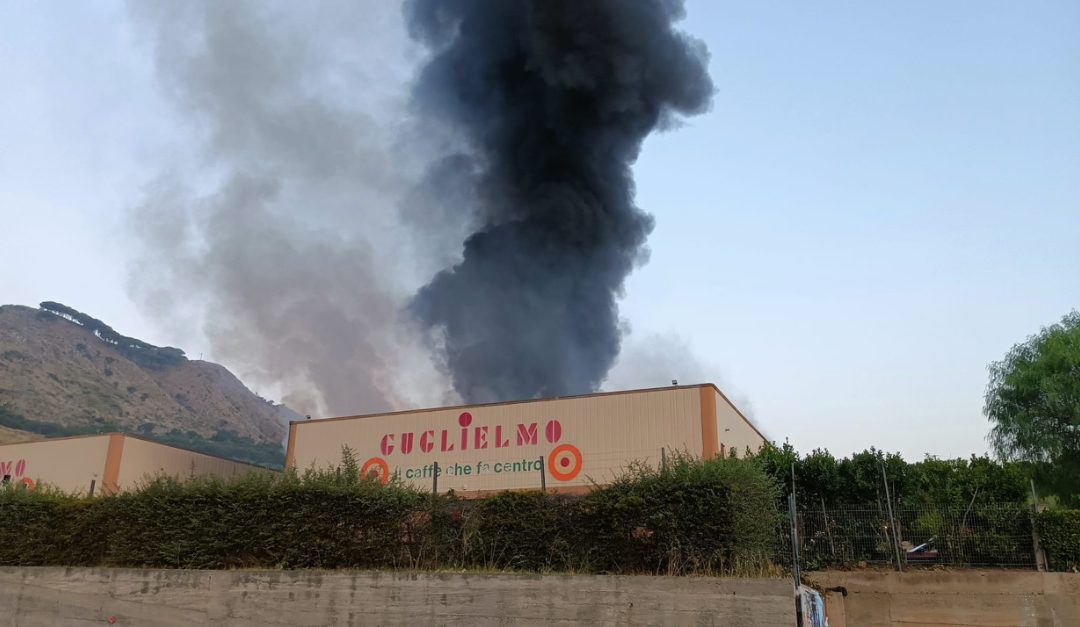 L'incendio alla torrefazione Guglielmo