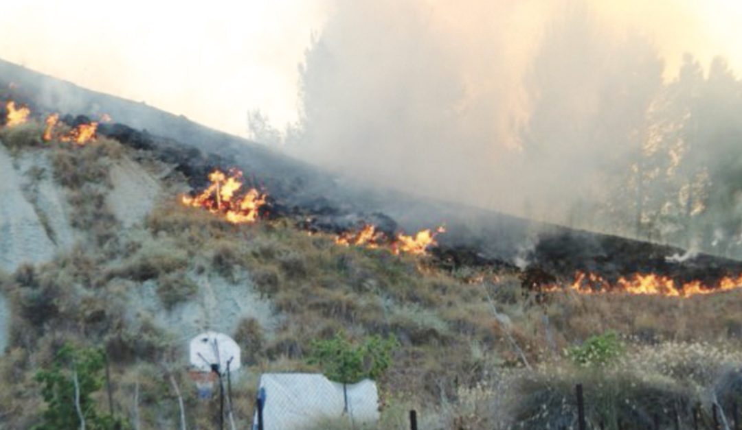 L'incendio di ieri a Parco Pignera