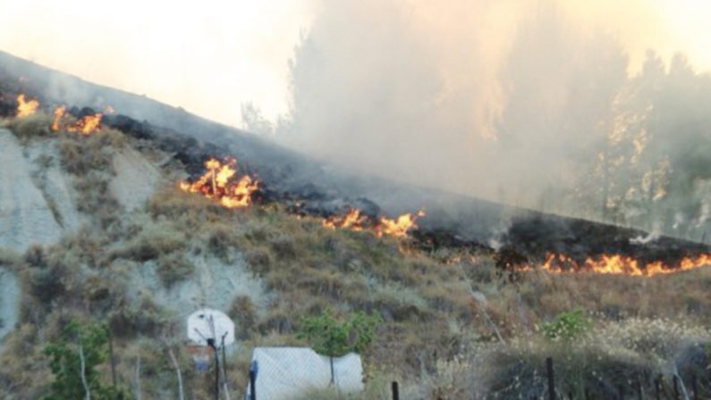 Ancora a fuoco Parco Pignera, il presidente di Jobel: «Qualcuno rema contro di noi»