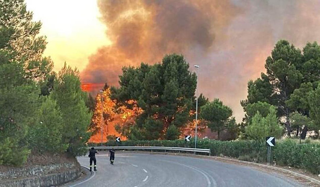 Le fiamme nei pressi di Pisticci (foto Ansa)