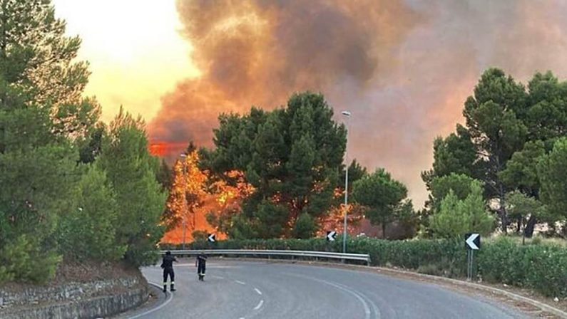 Vasto incendio a Pisticci nel Materano, evacuate centinaia di persone