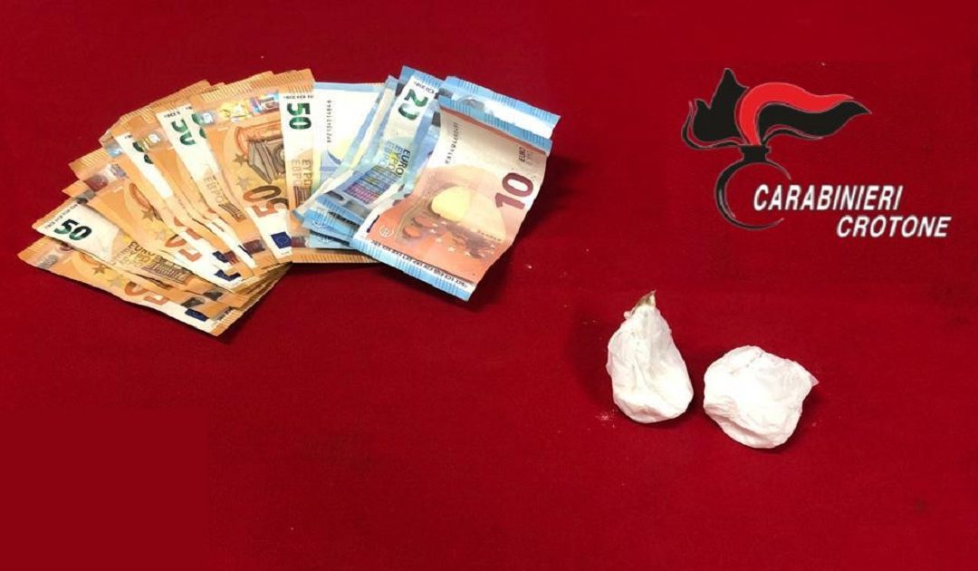 La cocaina sequestrata a Petilia Policastro
