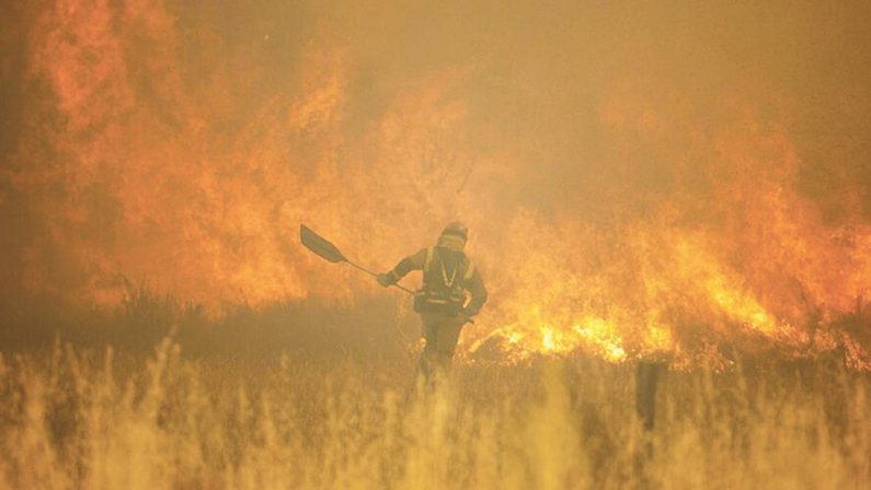 Incendi in Puglia, brucia il Gargano. Nel Leccese 90 ettari in fiamme