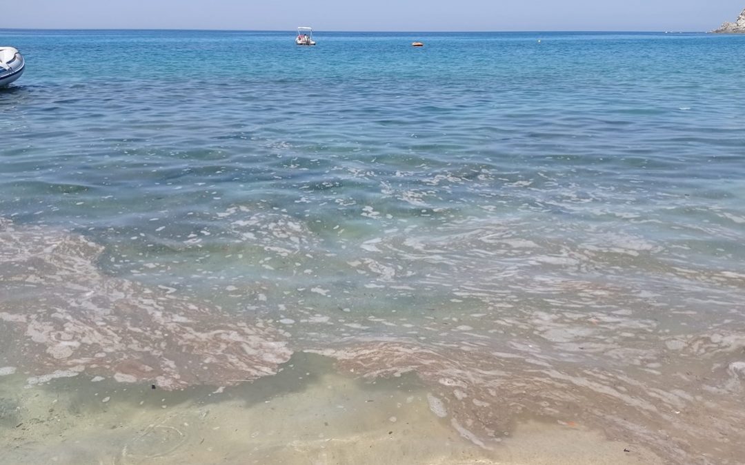 Immagini di mare sporco