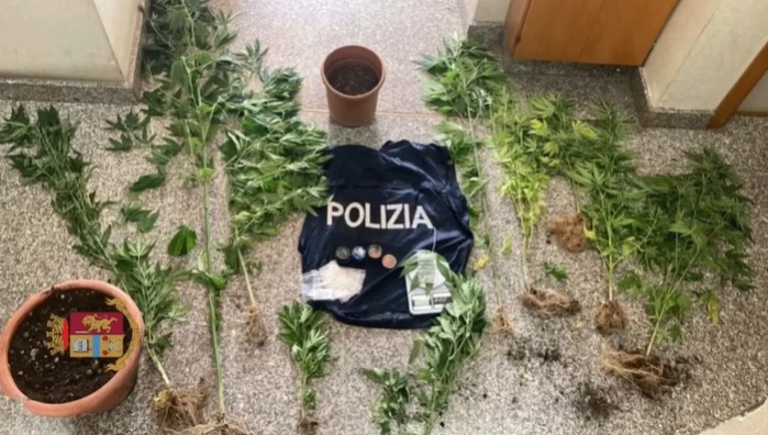 Coltivazione di marijuana, un arresto della Squadra Mobile a Tropea