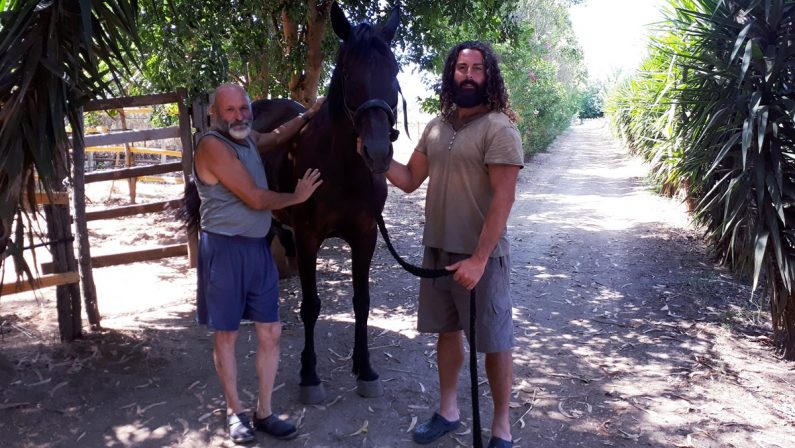 Cristian e Furia: un uomo e il suo cavallo da un anno in viaggio per l’Italia