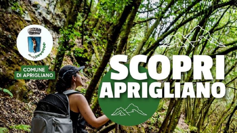 "Scopri Aprigliano" con trekking e mountain bike: 5 giorni immersi nella natura