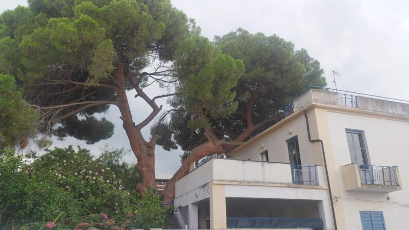 Forte ondata di maltempo nel Vibonese: strade allagate e alberi abbattuti