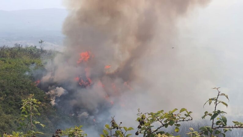 Vibo Valentia, vasto incendio minaccia le abitazioni