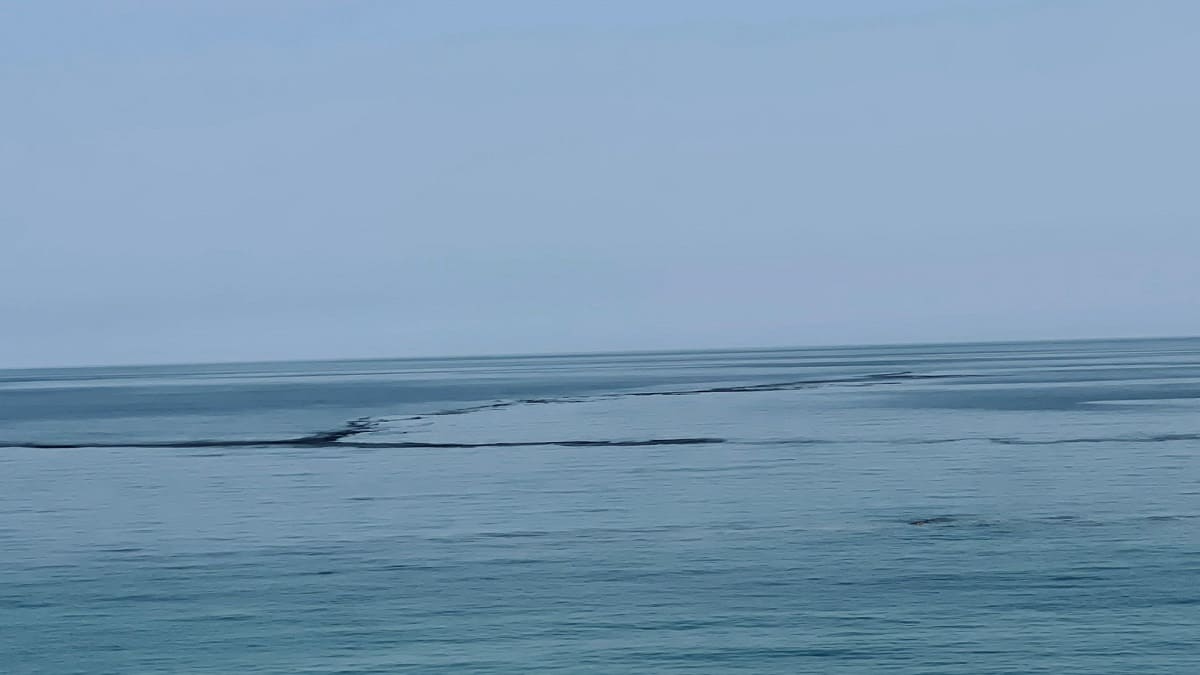 macchia nera mare vibo