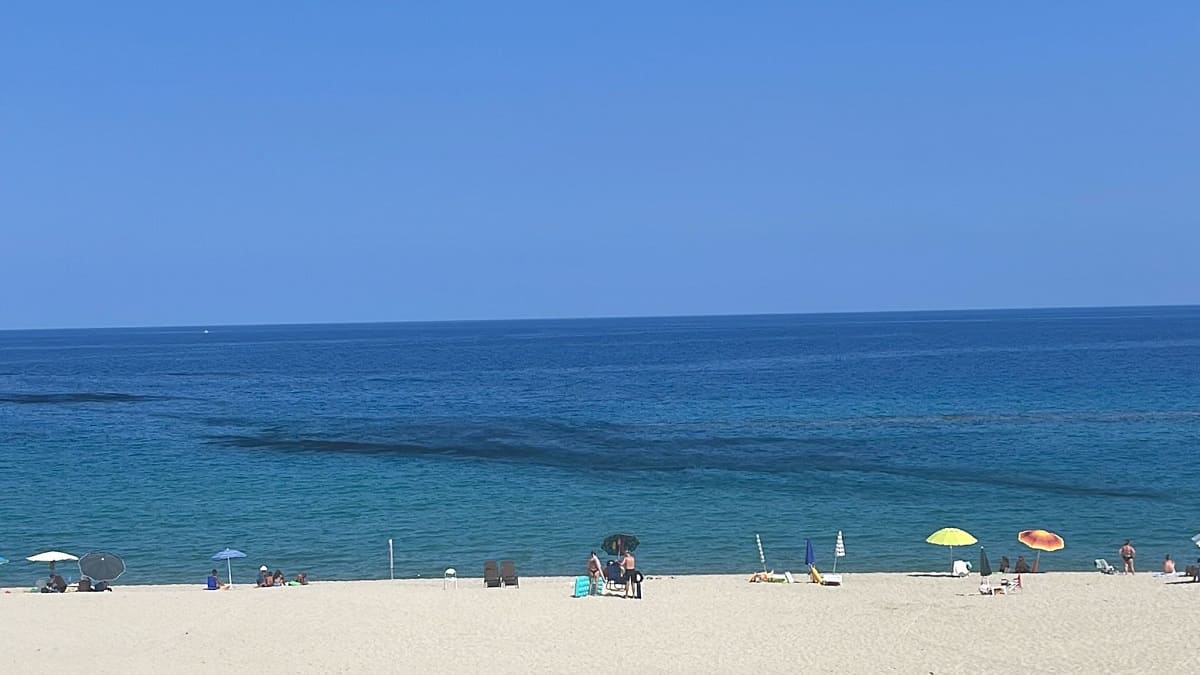 macchia nera mare vibo marina (4)
