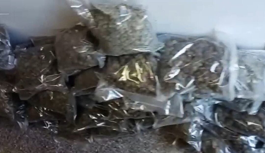 Sequestrati 700 chili di marijuana, tre arresti nel Vibonese
