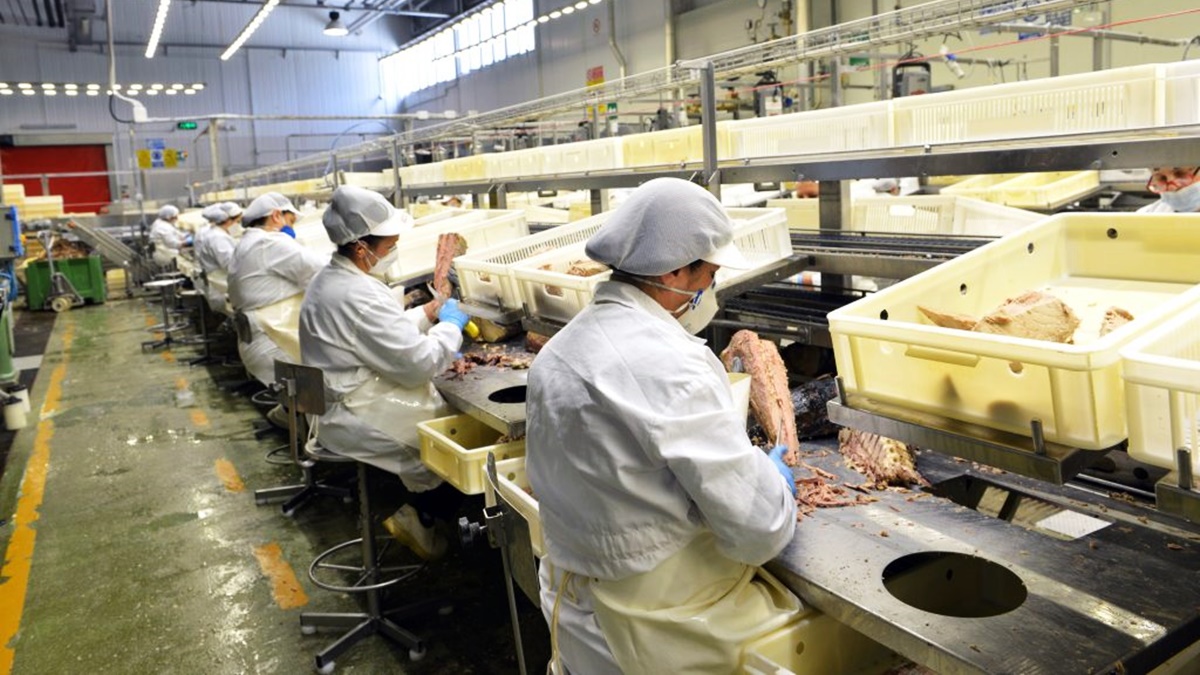 La Tonno Callipo mette in cassa integrazione 230 dipendenti